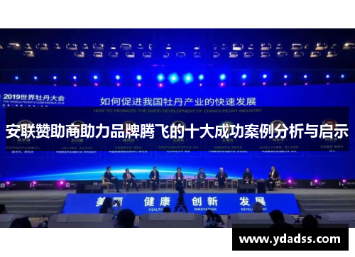 安联赞助商助力品牌腾飞的十大成功案例分析与启示 安联赞助商助力品牌腾飞的十大成功案例分析与启示