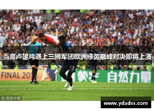 当高卢雄鸡遇上三狮军团欧洲绿茵巅峰对决即将上演 当高卢雄鸡遇上三狮军团欧洲绿茵巅峰对决即将上演